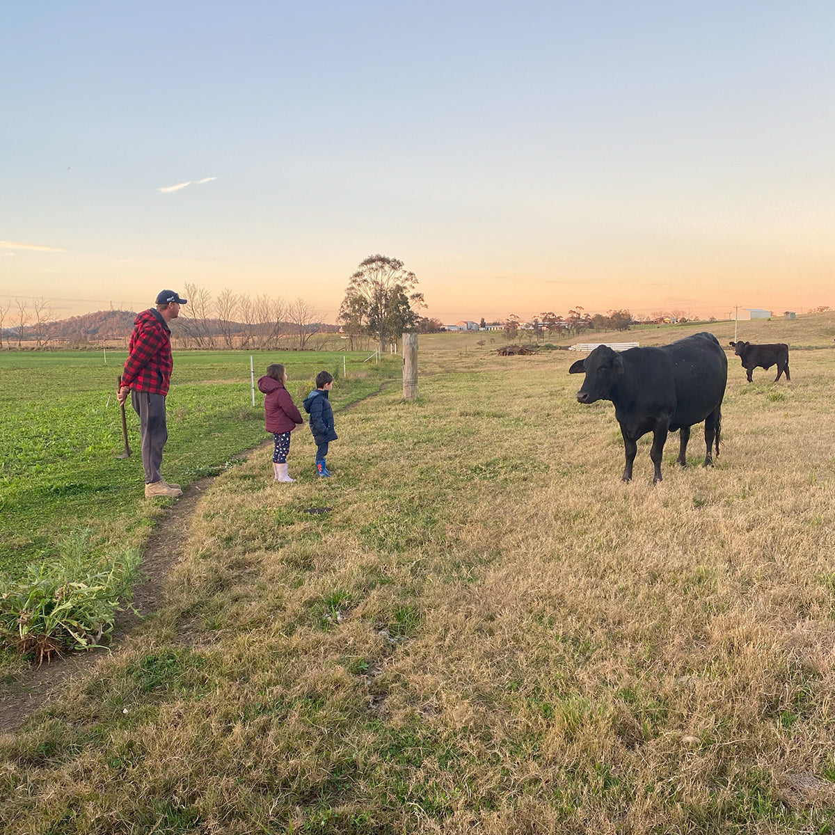 Riverbend Meats gallery image
